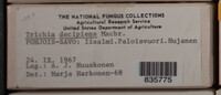 Image Associated With the Occurence
